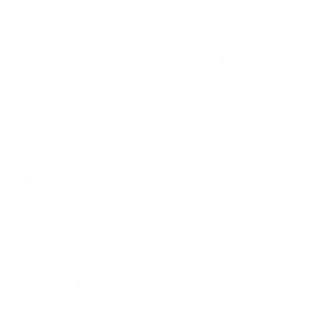 Digital Marketing Strategy