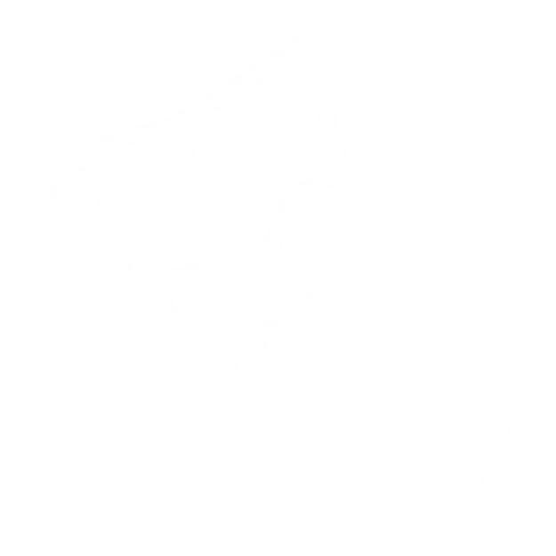 Brand Activation