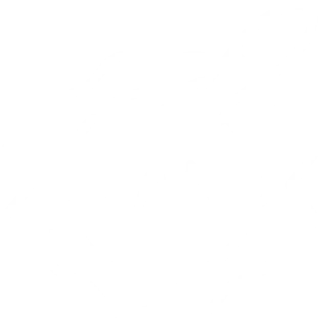 Branding & Canvassing