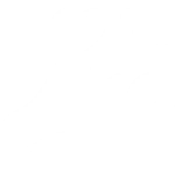 Digital Media Placement